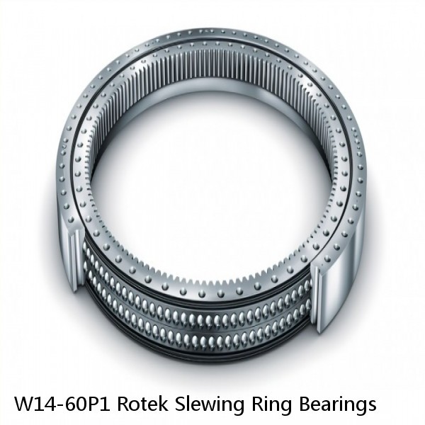 W14-60P1 Rotek Slewing Ring Bearings #1 small image