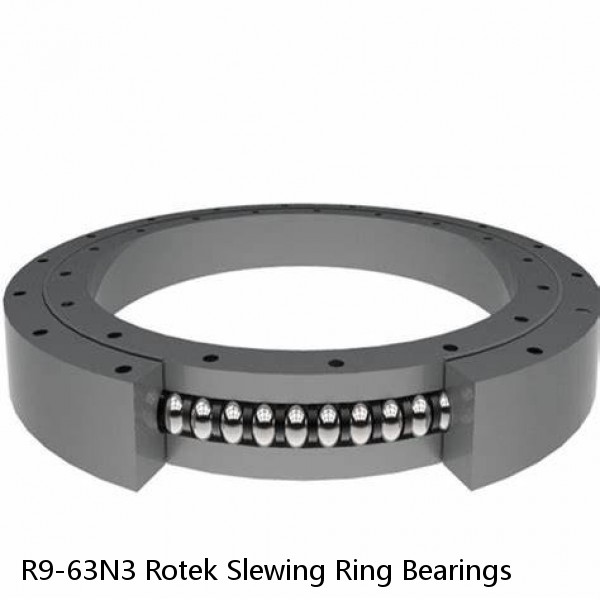 R9-63N3 Rotek Slewing Ring Bearings