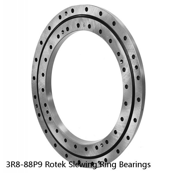 3R8-88P9 Rotek Slewing Ring Bearings #1 small image