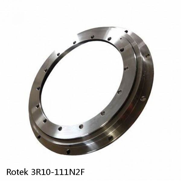 3R10-111N2F Rotek Slewing Ring Bearings #1 small image