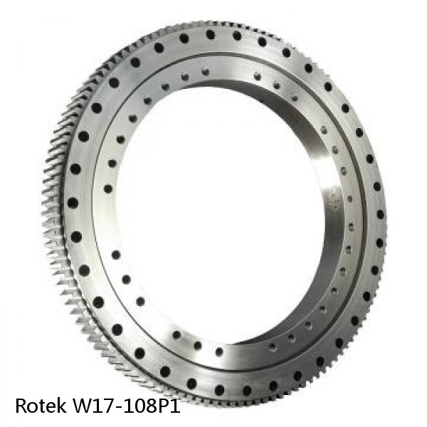 W17-108P1 Rotek Slewing Ring Bearings #1 small image