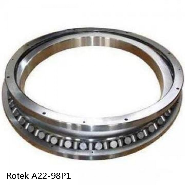 A22-98P1 Rotek Slewing Ring Bearings #1 small image