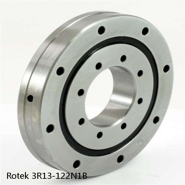 3R13-122N1B Rotek Slewing Ring Bearings