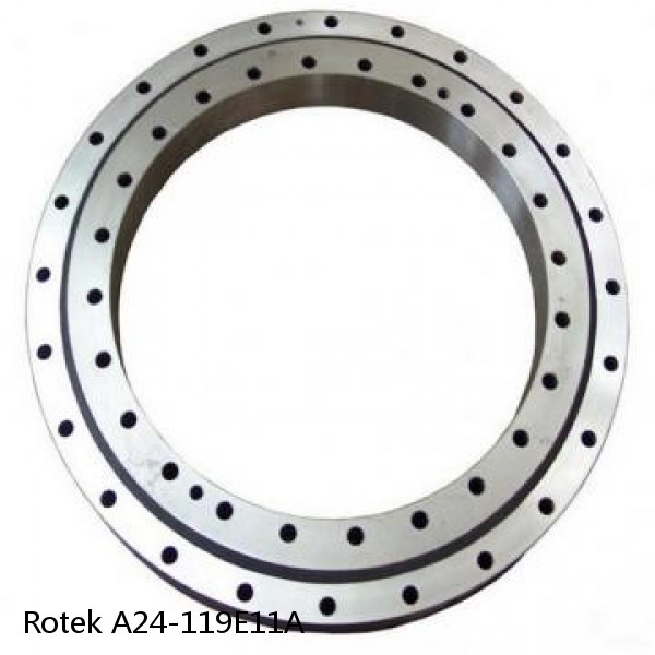 A24-119E11A Rotek Slewing Ring Bearings #1 small image