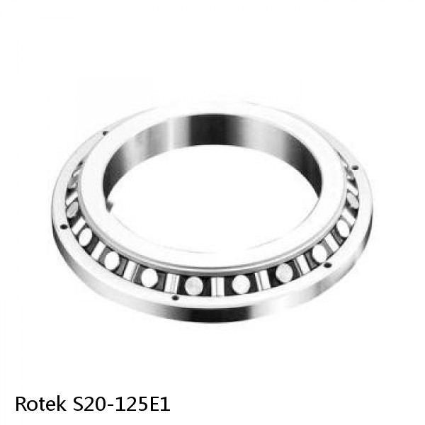 S20-125E1 Rotek Slewing Ring Bearings #1 small image