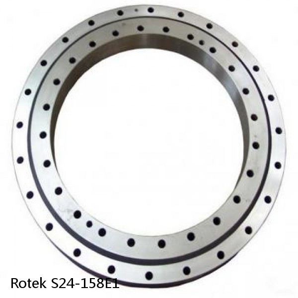 S24-158E1 Rotek Slewing Ring Bearings #1 small image