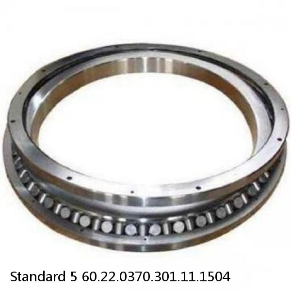 60.22.0370.301.11.1504 Standard 5 Slewing Ring Bearings #1 small image