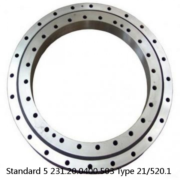 231.20.0400.503 Type 21/520.1 Standard 5 Slewing Ring Bearings #1 small image