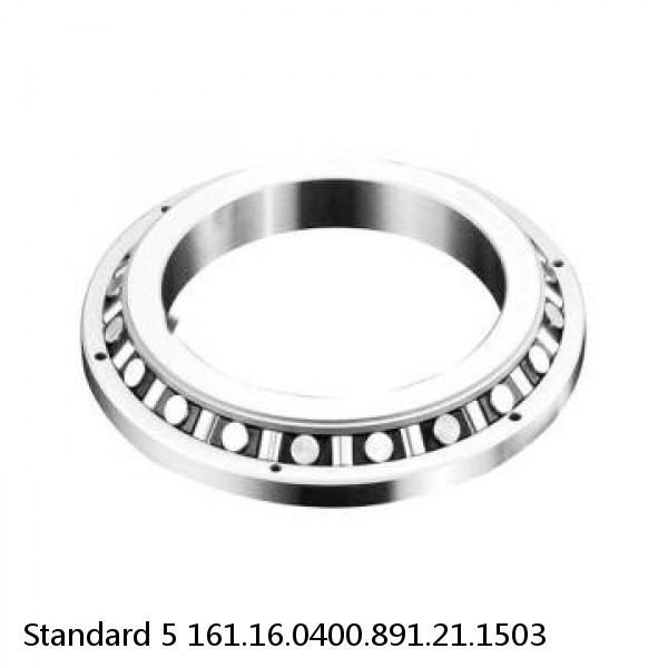 161.16.0400.891.21.1503 Standard 5 Slewing Ring Bearings #1 small image