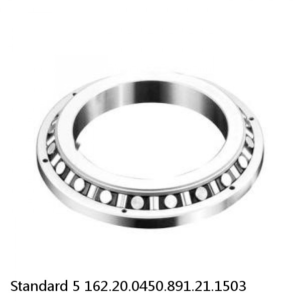 162.20.0450.891.21.1503 Standard 5 Slewing Ring Bearings #1 small image