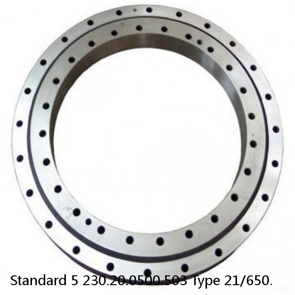 230.20.0500.503 Type 21/650. Standard 5 Slewing Ring Bearings #1 small image