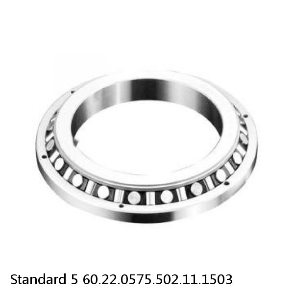 60.22.0575.502.11.1503 Standard 5 Slewing Ring Bearings #1 small image