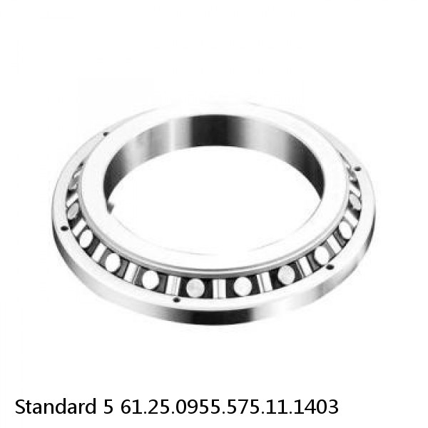 61.25.0955.575.11.1403 Standard 5 Slewing Ring Bearings #1 small image