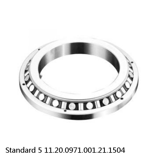 11.20.0971.001.21.1504 Standard 5 Slewing Ring Bearings #1 small image