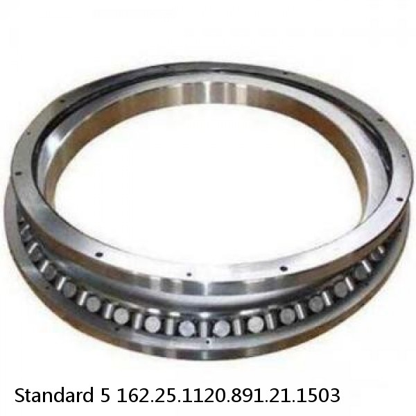 162.25.1120.891.21.1503 Standard 5 Slewing Ring Bearings #1 small image