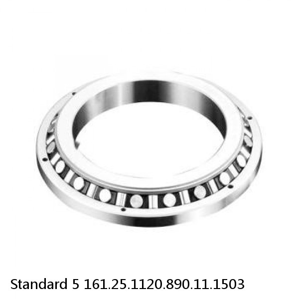 161.25.1120.890.11.1503 Standard 5 Slewing Ring Bearings #1 small image