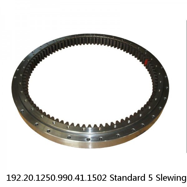 192.20.1250.990.41.1502 Standard 5 Slewing Ring Bearings #1 small image