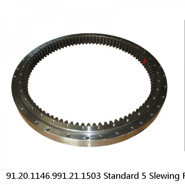 91.20.1146.991.21.1503 Standard 5 Slewing Ring Bearings #1 small image