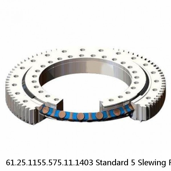 61.25.1155.575.11.1403 Standard 5 Slewing Ring Bearings #1 small image