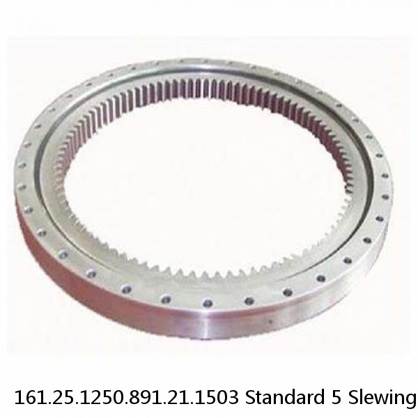 161.25.1250.891.21.1503 Standard 5 Slewing Ring Bearings #1 small image