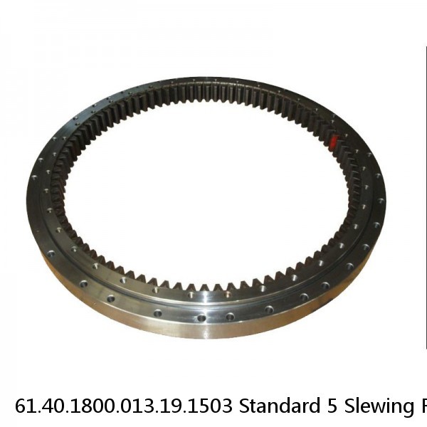 61.40.1800.013.19.1503 Standard 5 Slewing Ring Bearings #1 small image