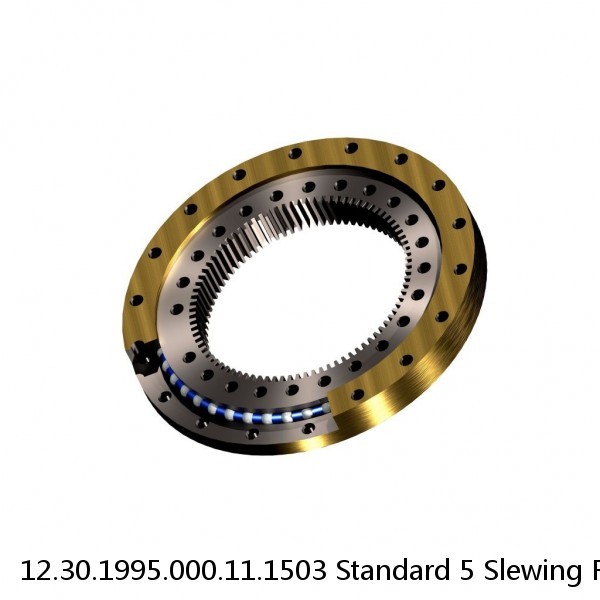 12.30.1995.000.11.1503 Standard 5 Slewing Ring Bearings #1 small image