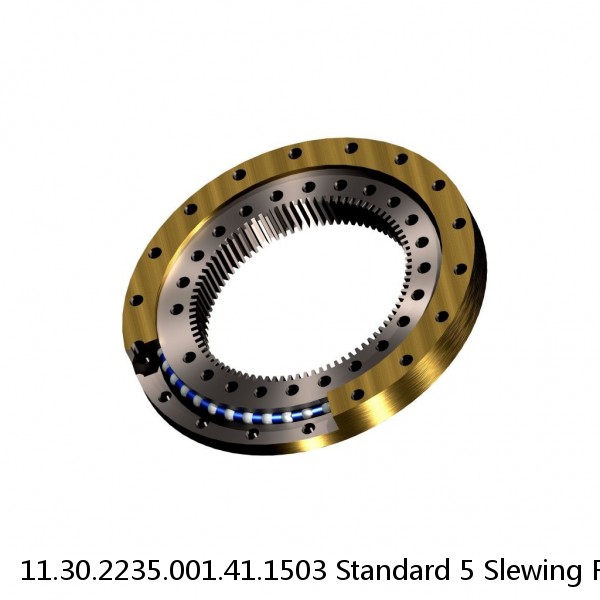 11.30.2235.001.41.1503 Standard 5 Slewing Ring Bearings