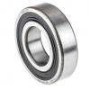 SKF NACHI NTN NSK Koyo 6000 6200 6300 6800 6900 Series Rls RMS34 SSR8 Series Inch Size Deep Groove Ball Bearing