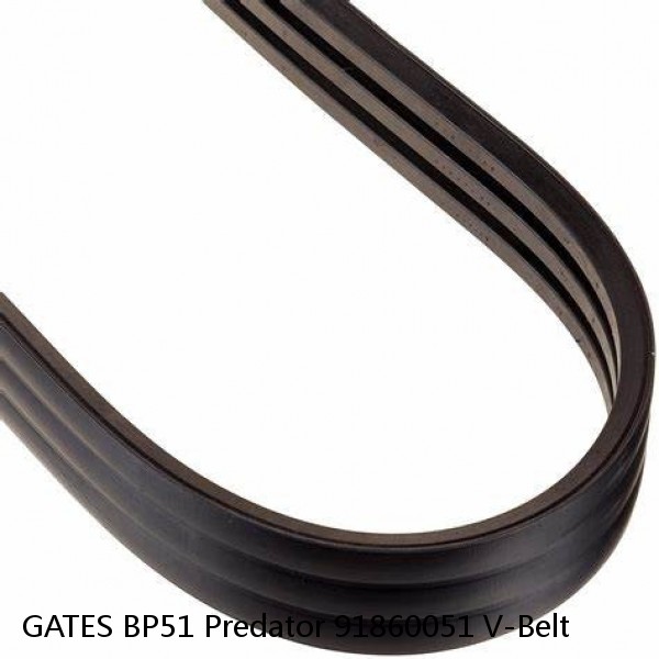 GATES BP51 Predator 91860051 V-Belt #1 small image