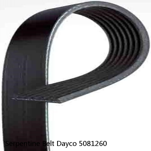 Serpentine Belt Dayco 5081260 #1 small image