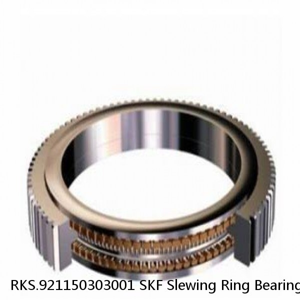 RKS.921150303001 SKF Slewing Ring Bearings #1 image