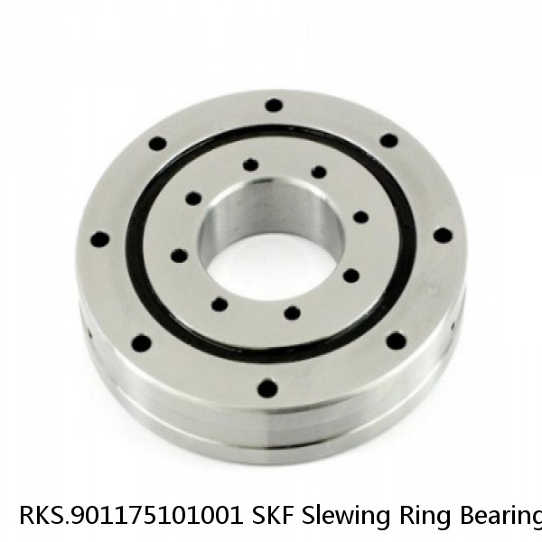 RKS.901175101001 SKF Slewing Ring Bearings #1 image