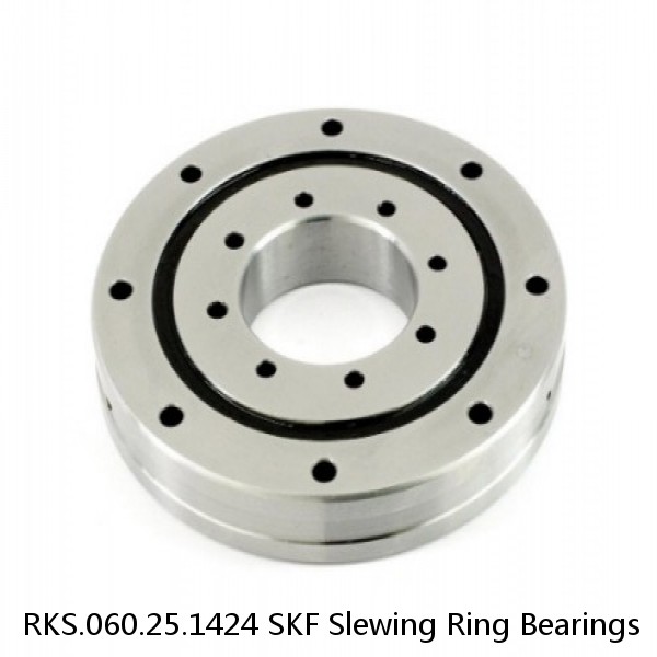 RKS.060.25.1424 SKF Slewing Ring Bearings #1 image