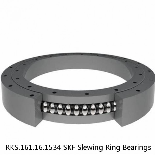 RKS.161.16.1534 SKF Slewing Ring Bearings #1 image