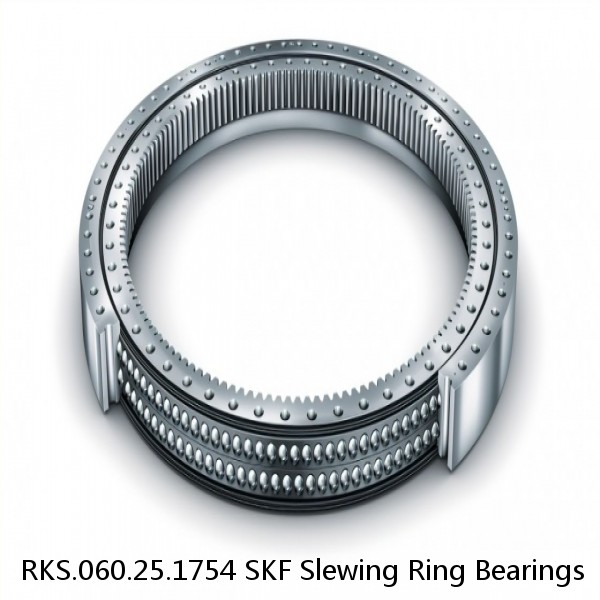 RKS.060.25.1754 SKF Slewing Ring Bearings #1 image