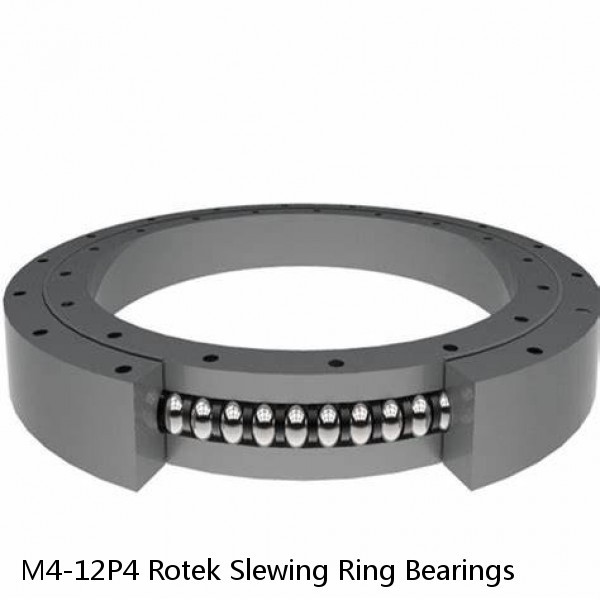 M4-12P4 Rotek Slewing Ring Bearings #1 image