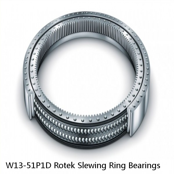 W13-51P1D Rotek Slewing Ring Bearings #1 image