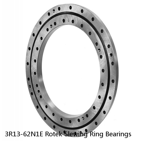 3R13-62N1E Rotek Slewing Ring Bearings #1 image