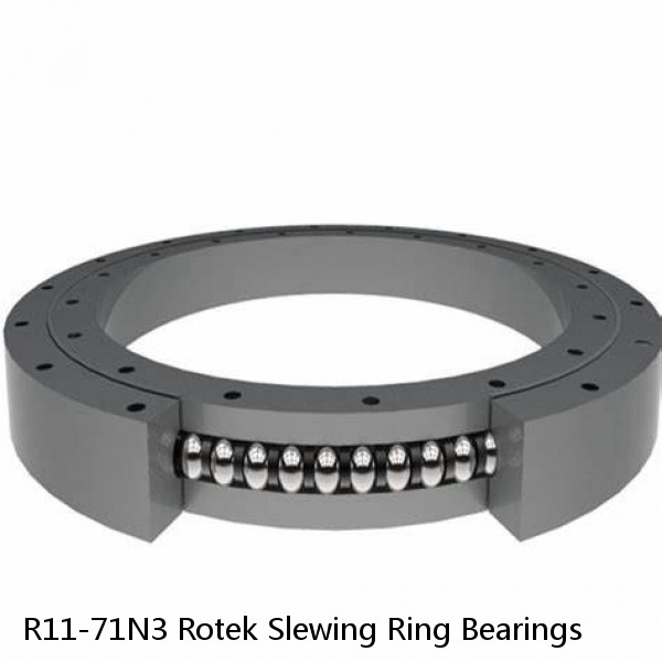 R11-71N3 Rotek Slewing Ring Bearings #1 image