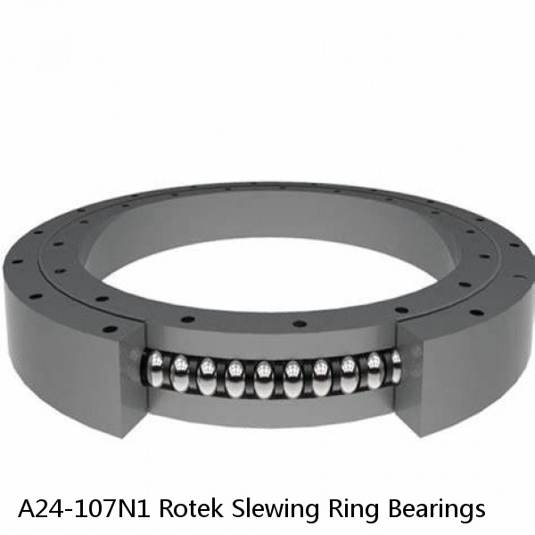 A24-107N1 Rotek Slewing Ring Bearings #1 image