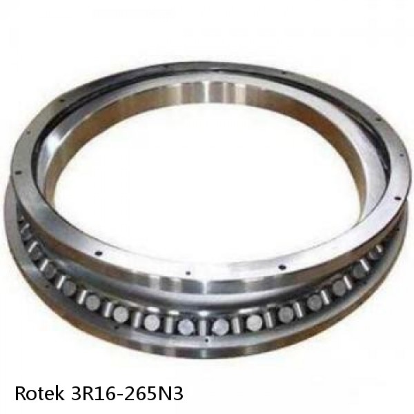 3R16-265N3 Rotek Slewing Ring Bearings #1 image