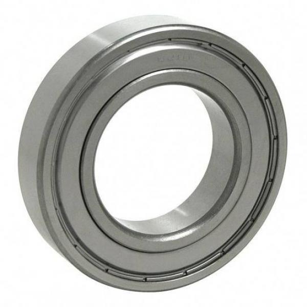 SKF NTN Koyo NSK Cylindrical Roller Bearing SL183004 #1 image