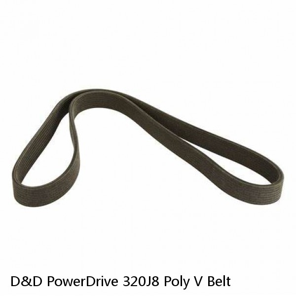 D&D PowerDrive 320J8 Poly V Belt #1 image