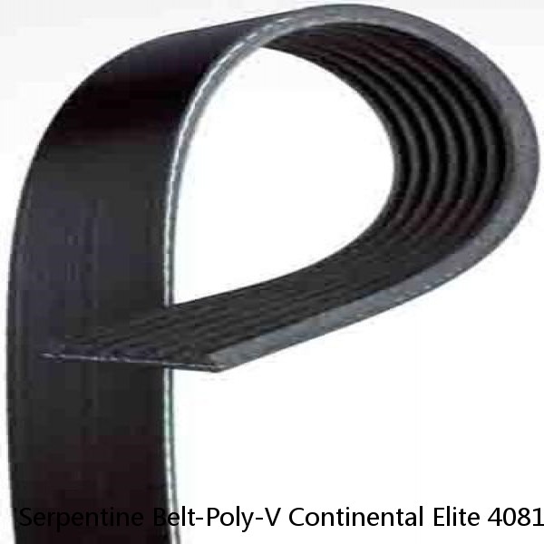 Serpentine Belt-Poly-V Continental Elite 4081265F #1 image